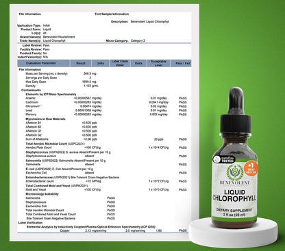 Clorofila Líquida Benevolent® 59 ml | Frescura en cada gota