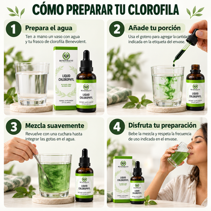 Clorofila Líquida Benevolent® 59 ml | Frescura en cada gota