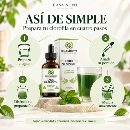 Clorofila Líquida Benevolent® 59 ml | Frescura en cada gota
